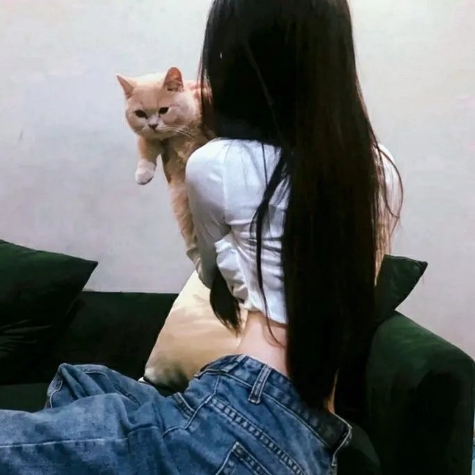 终结者3:机器的觉醒