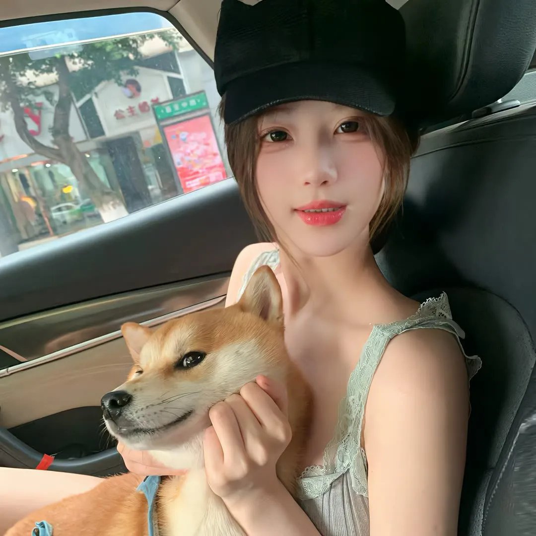 当猪起飞